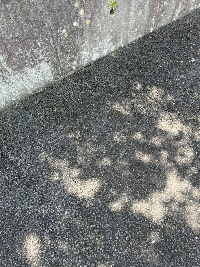 千葉県成田市での不用品回収の作業後の様子