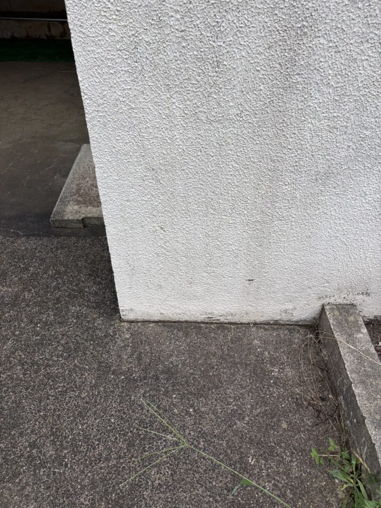 千葉県船橋市での不用品回収の作業後の様子