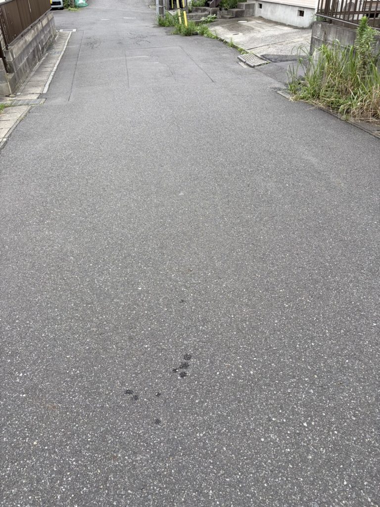 千葉県浦安市での不用品回収の作業後の様子