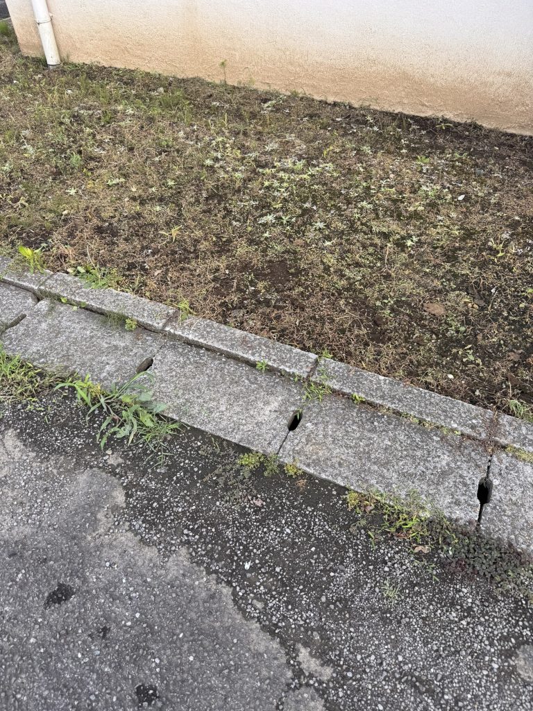 千葉県松戸市での不用品回収の作業後の様子