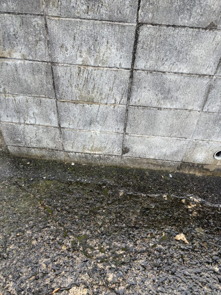 千葉県市川市での不用品回収の作業後の様子