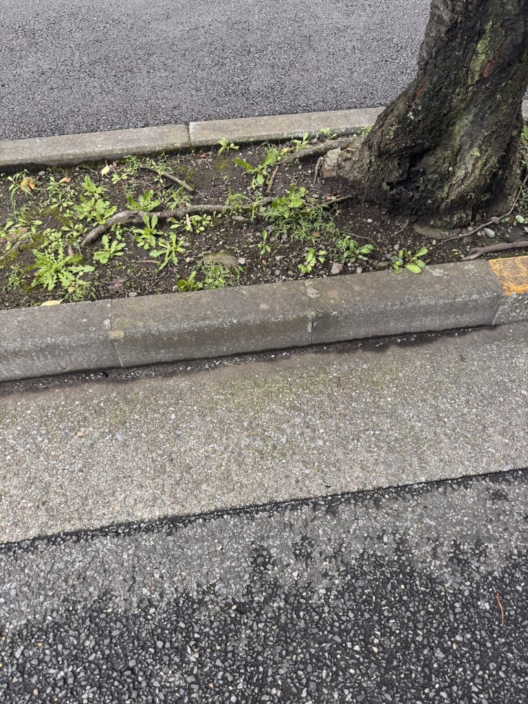 千葉県浦安市での不用品回収の作業後の様子